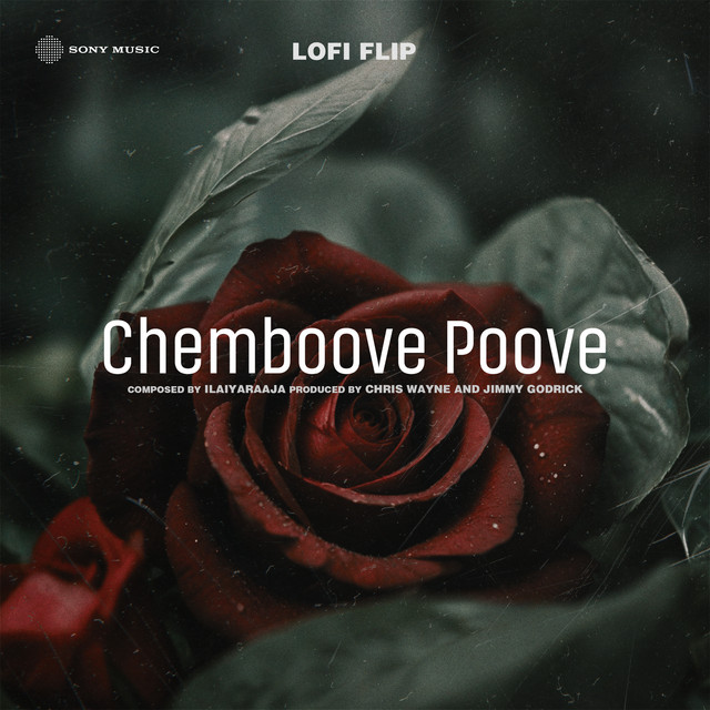 Chemboove Poove - Lofi Flip