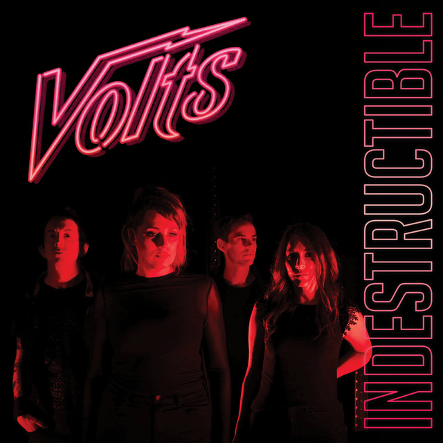 Indestructible cover art