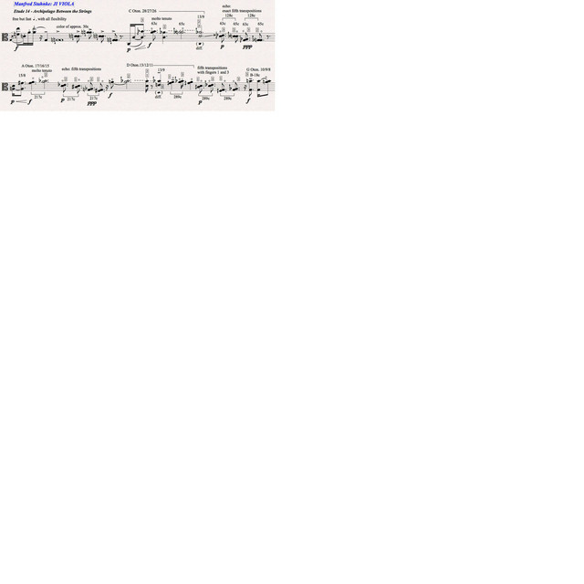 Just Intonation Viola Etude 14 (Acoustic) cover