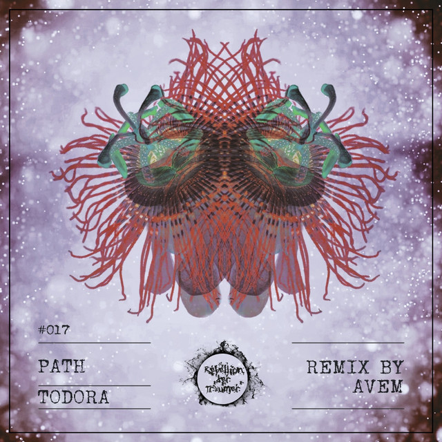 Todora cover art