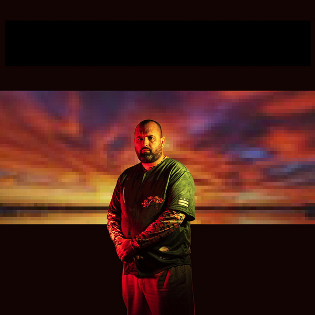 Hiding in Plain Sight cover art