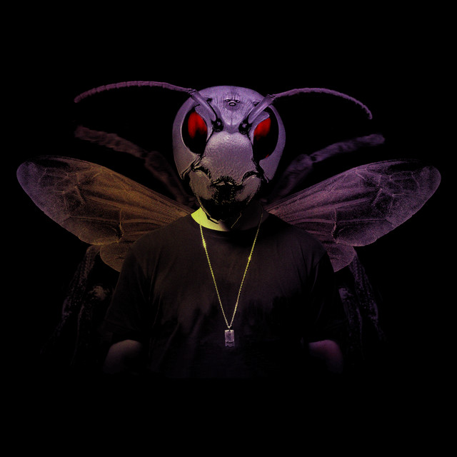 Hornet cover art