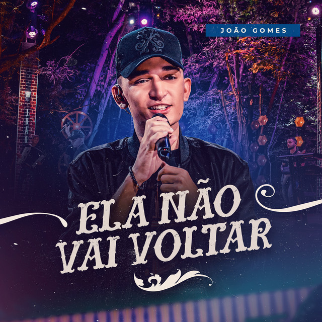 Ela Não Vai Voltar cover art