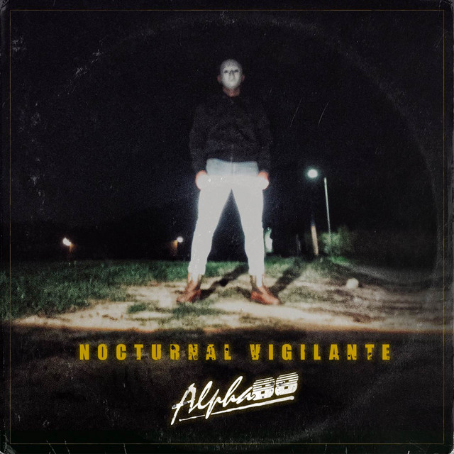 Nocturnal vigilante cover
