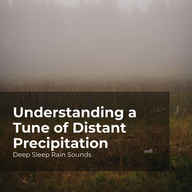 Understanding a Tune of Distant Precipitation - Album by Deep Sleep ...
