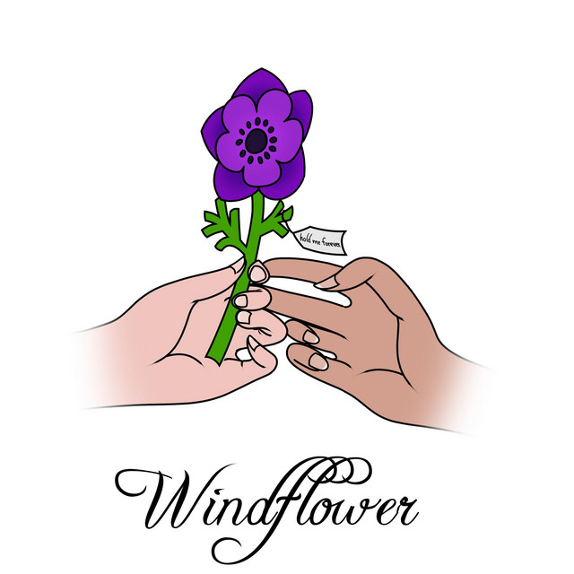 Windflower