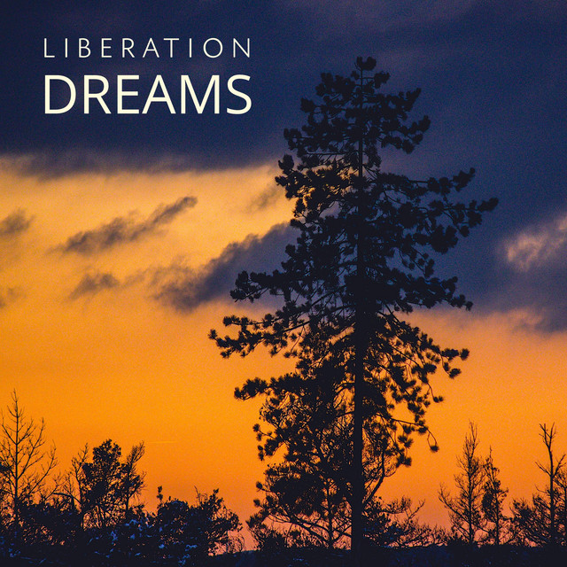 Liberation Dreams