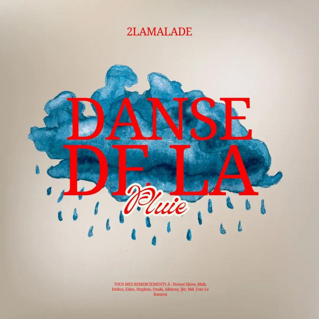 DANSE DE LA PLUI3 cover art