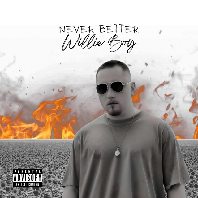 Never Better cover art