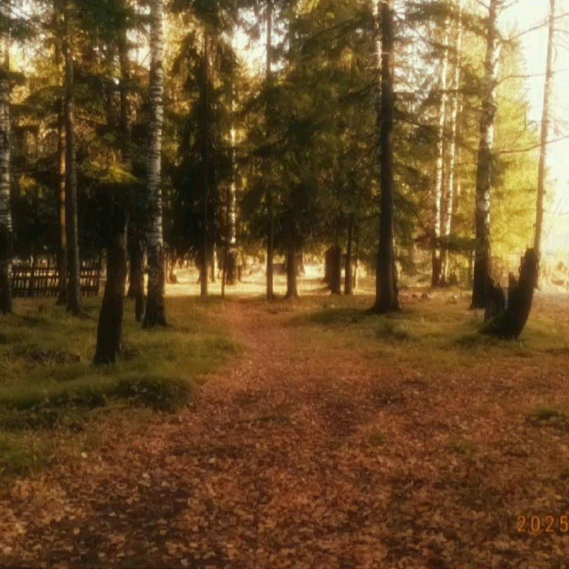 inside