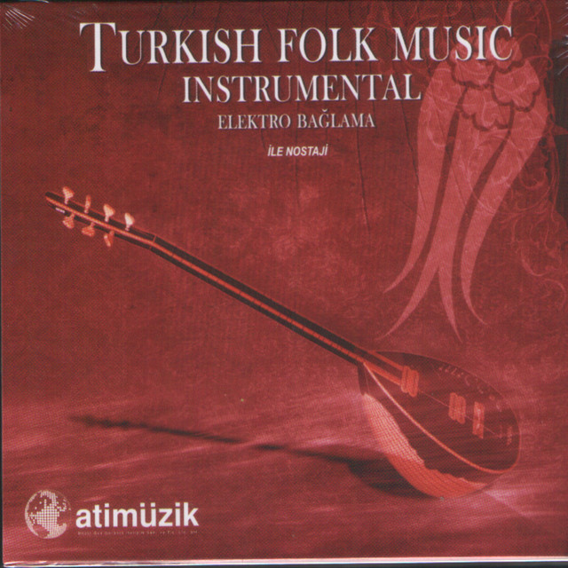 Turkish Folk Music Instrumental / Elektro Bağlama İle Nostalji cover
