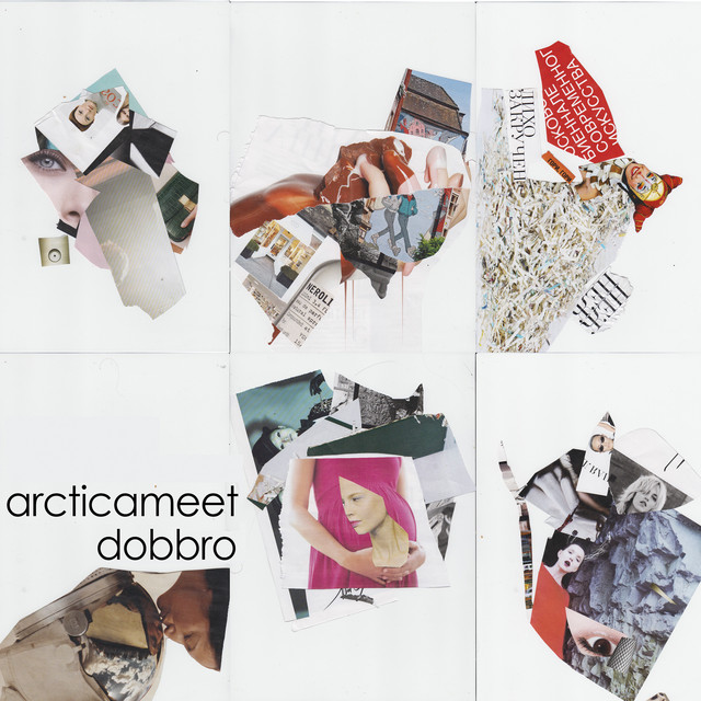 Arcticameet cover art