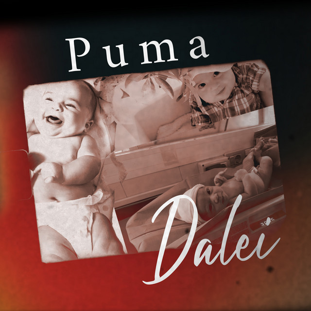 Puma - Dalei cover art