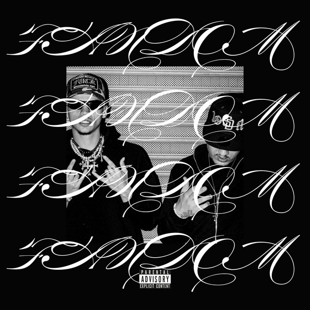 FANDOM cover art