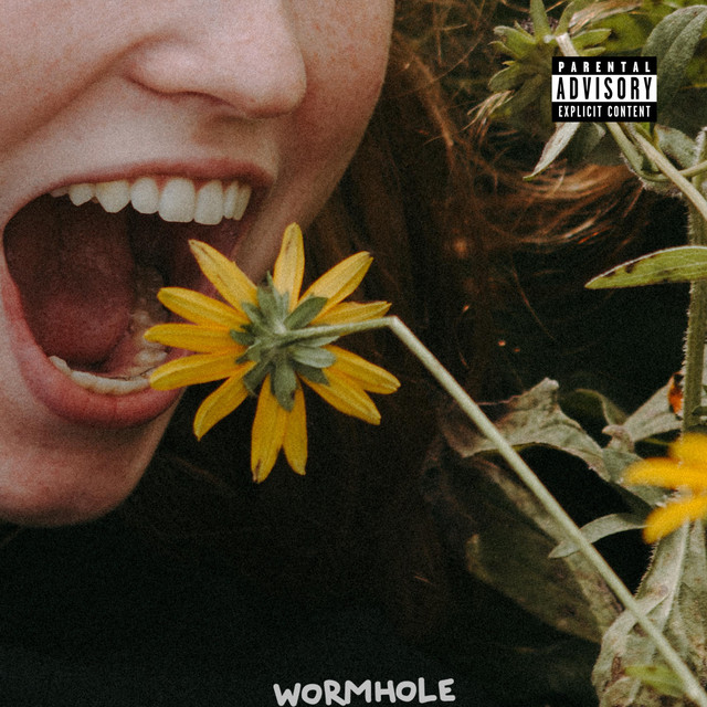 WORMHOLE cover art