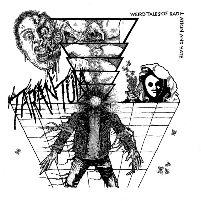 tarantula