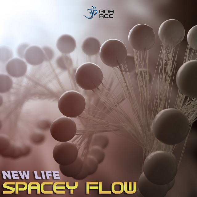 New Life cover