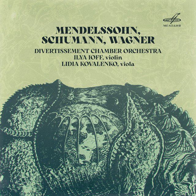 Cello Concerto, Op. 129: II. Langsam (arr. for Violin) cover art