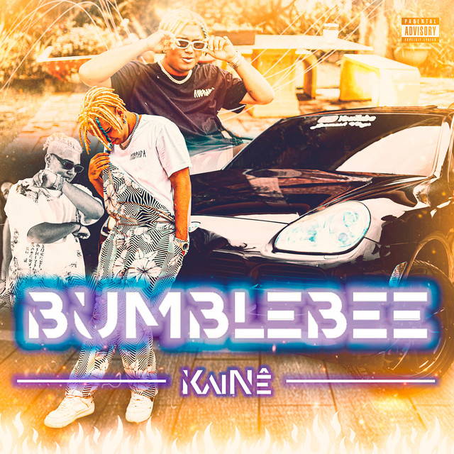 Bumblebee cover art
