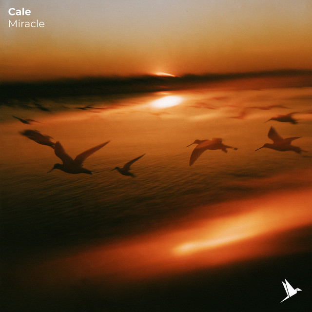 Miracle album image