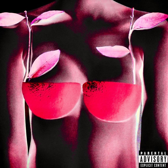 I Could've Solved It All album image