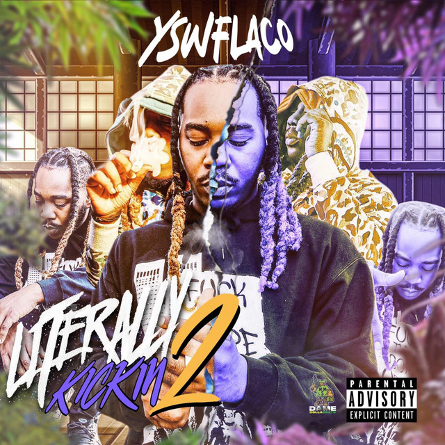 Literally KickiN 2 cover art