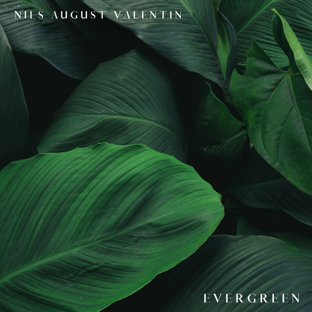 Evergreen by Nils August Valentin