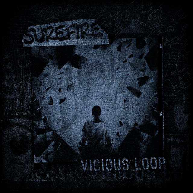 Vicious Loop cover art
