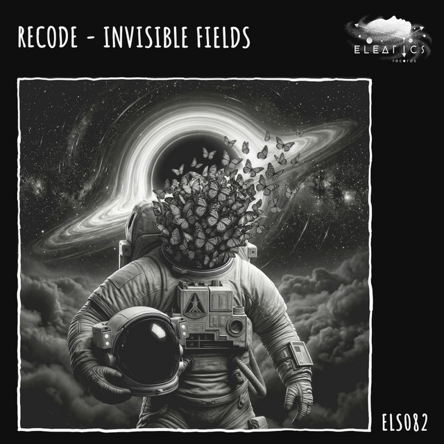 Invisible Fields cover art
