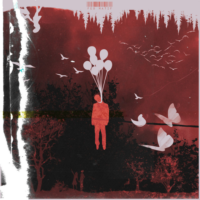 505 cover art