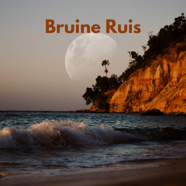 Bruine Ruis cover art