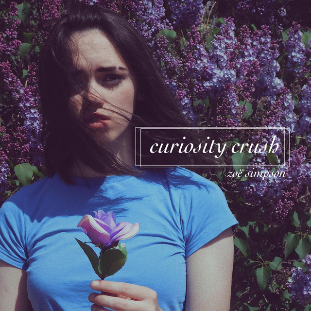 Curiosity Crush