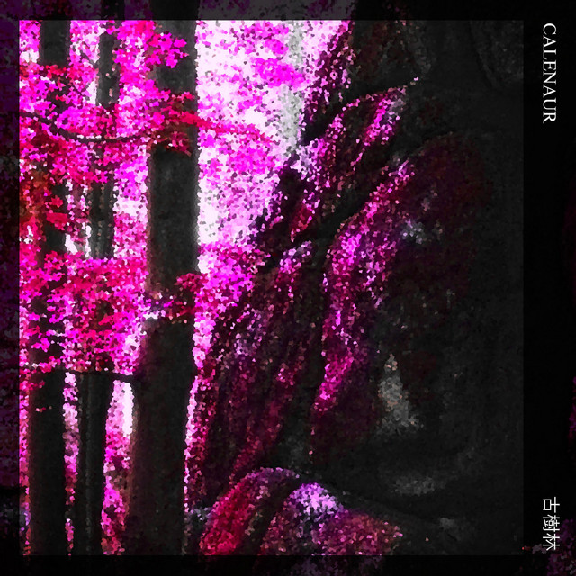 古樹林 cover