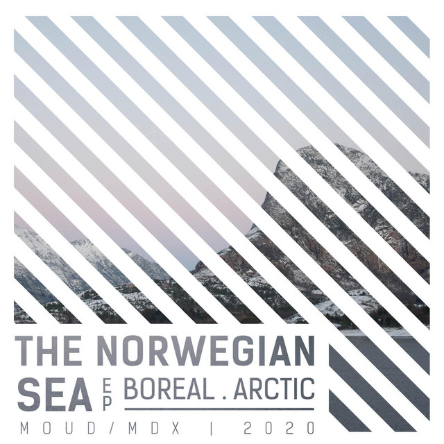 The Norwegian Sea cover art