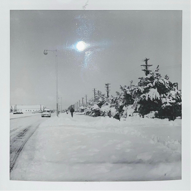 Walk Over Water cover art
