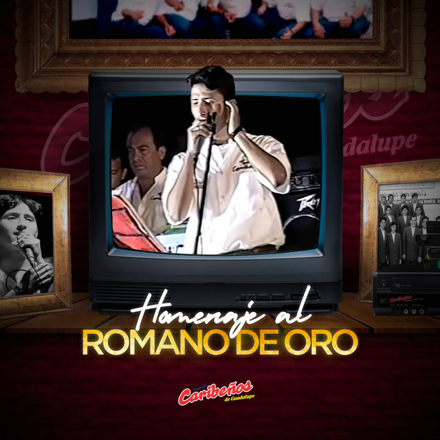 Homenaje al Romano de Oro (En Vivo) cover art
