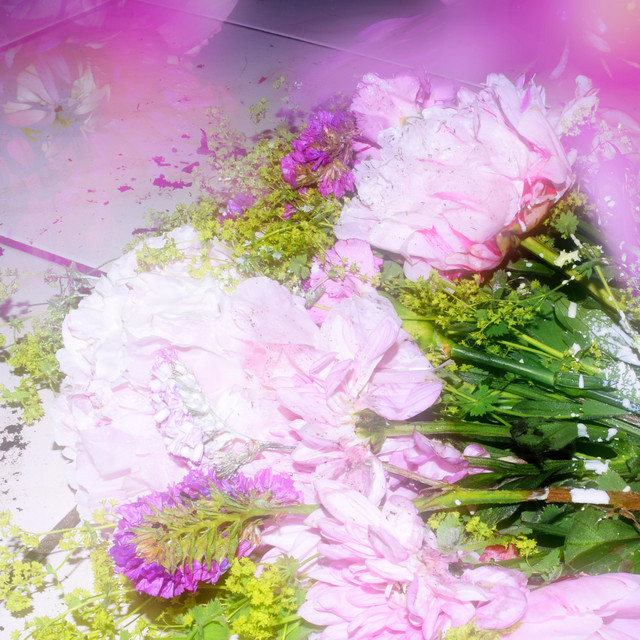 Chanson d'amour cover
