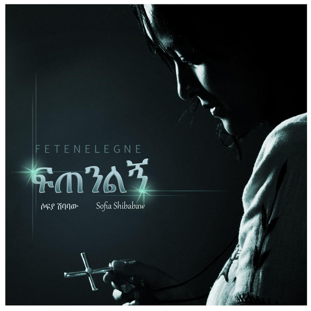 Fetenelegne, Vol. 3 cover art