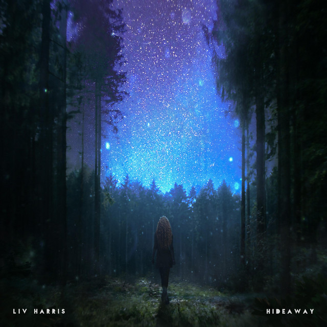 Hideaway cover