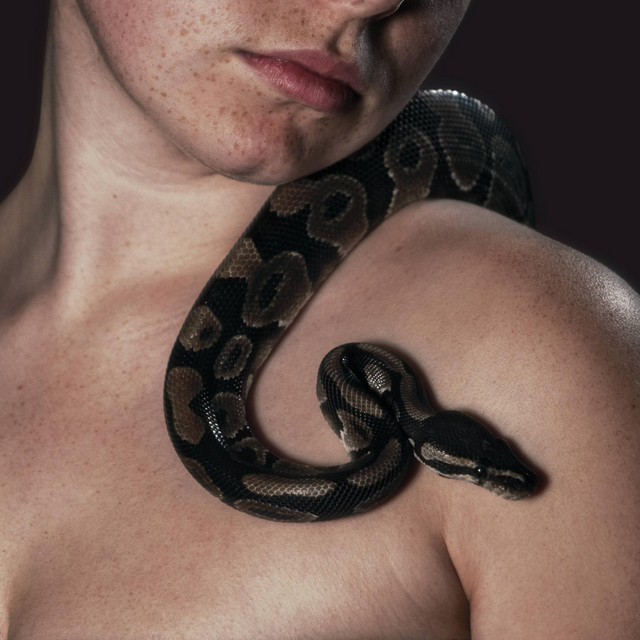Poison (EP) cover art