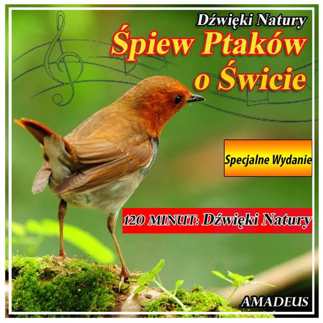 Śpiew Ptaków o Świcie: Dźwięki Natury: Specjalne Wydanie cover art