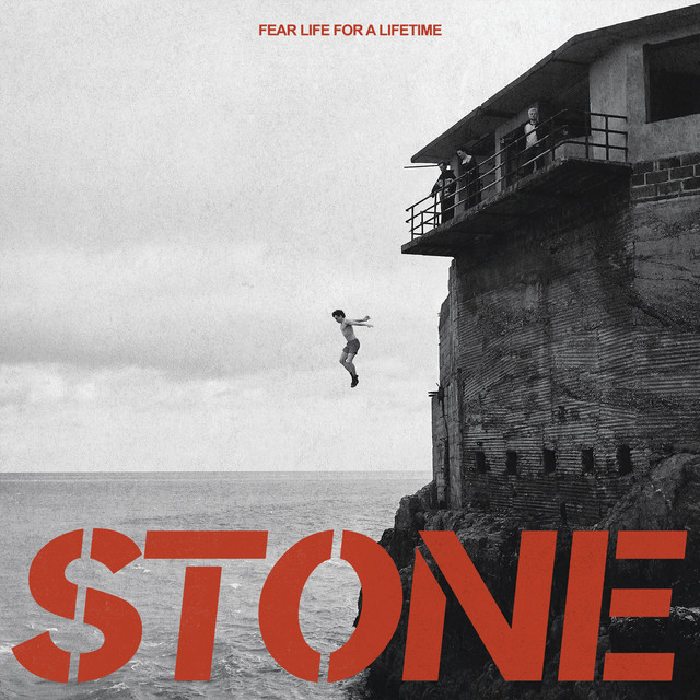 Fear Life For A Lifetime cover art