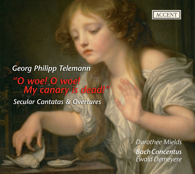 Telemann: Overtures - Du angenehmer Weiberorden - Trauer-Music eines kunsterfahrenen cover art
