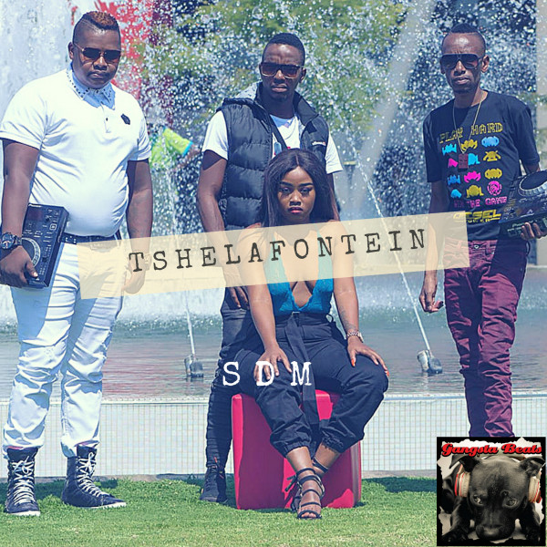 Tshelafontein cover art