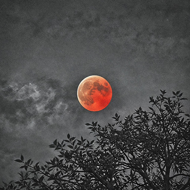Обкладинка: The Moon — Max Bitov