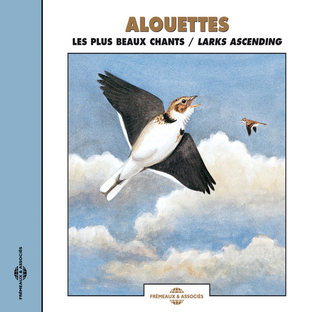 Alouettes