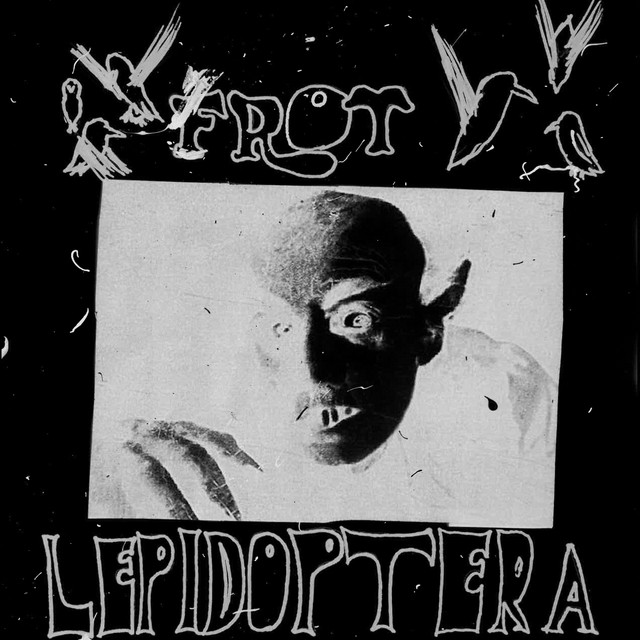 Lepidoptera cover art