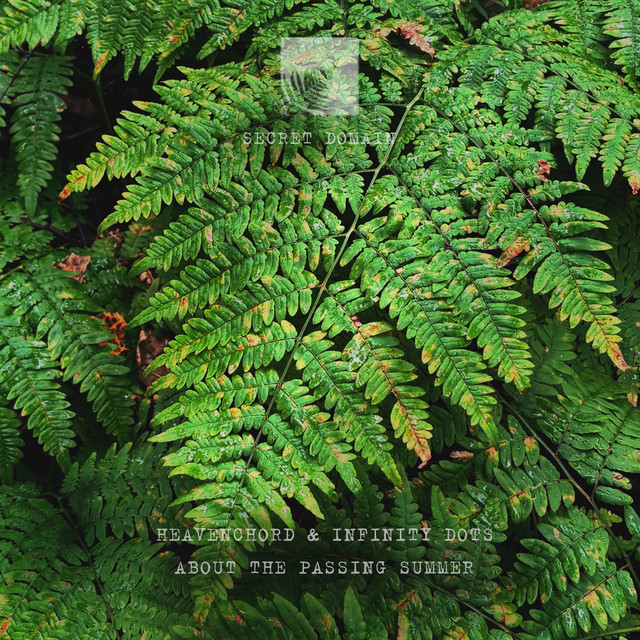 About the Passing Summer cover