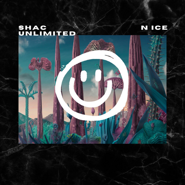 Nice - Single by Shac Unlimited | Spotify
