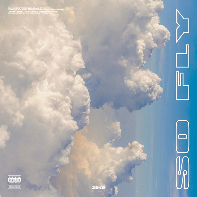 So Fly cover art